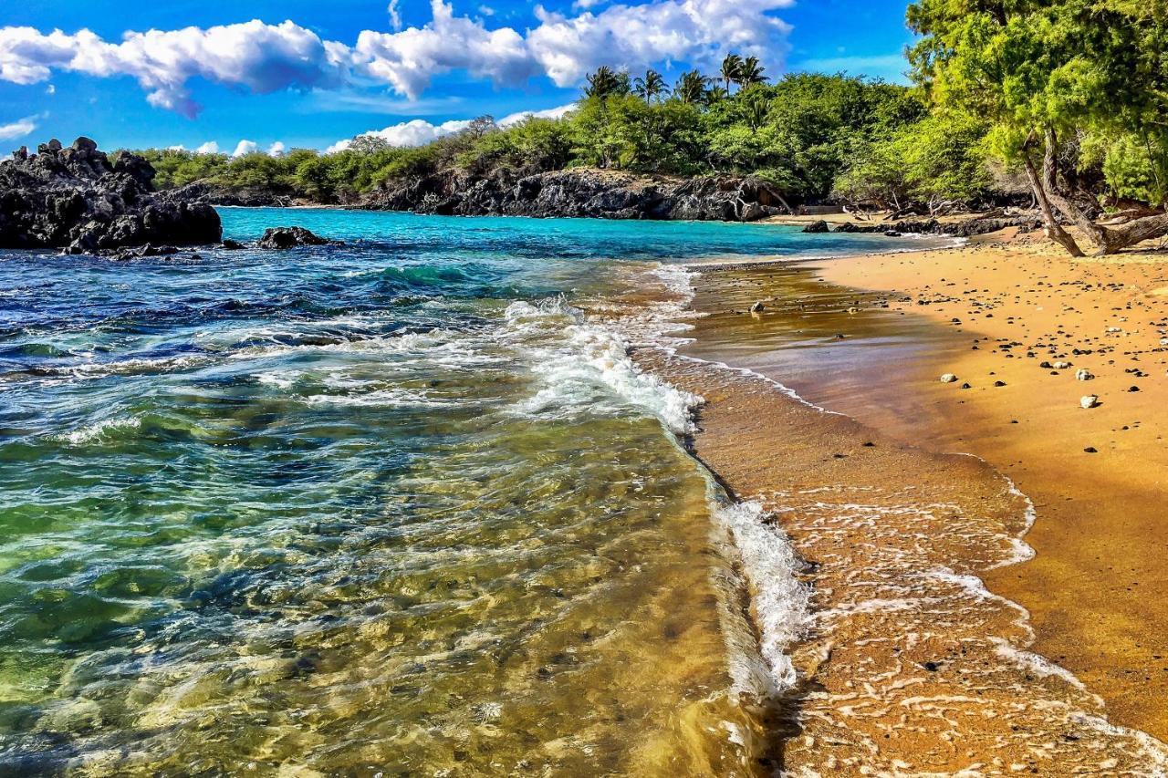 Apartmán Kona Bali Kai #319 Kailua-Kona Exteriér fotografie